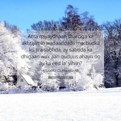 Picture 07 - Matayos 12:5 SOM - Ama miyaydnaan sharciga ka akhriyin in - Bible Verse Picture