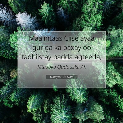 Picture 07 - Matayos 13:1 SOM - Maalintaas Ciise ayaa guriga ka baxay oo - Bible Verse Picture