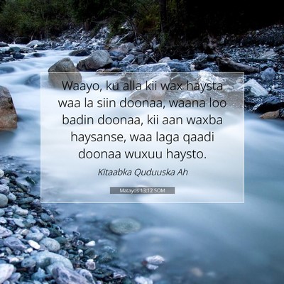 Picture 07 - Matayos 13:12 SOM - Waayo, ku alla kii wax haysta waa la siin doonaa, - Bible Verse Picture