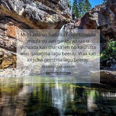 Picture 07 - Matayos 13:19 SOM - Mid kasta oo hadalka boqortooyada maqla oo aan - Bible Verse Picture