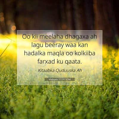 Picture 07 - Matayos 13:20 SOM - Oo kii meelaha dhagaxa ah lagu beeray waa kan - Bible Verse Picture