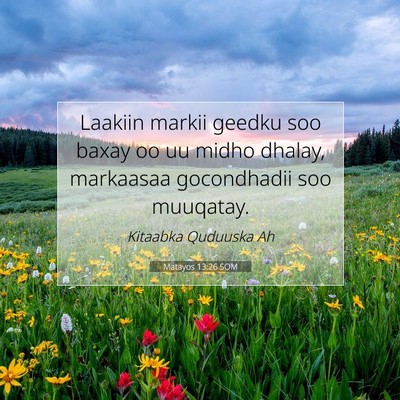 Picture 07 - Matayos 13:26 SOM - Laakiin markii geedku soo baxay oo uu midho - Bible Verse Picture