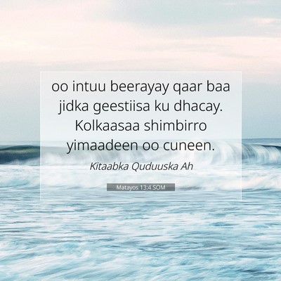 Picture 07 - Matayos 13:4 SOM - oo intuu beerayay qaar baa jidka geestiisa ku - Bible Verse Picture