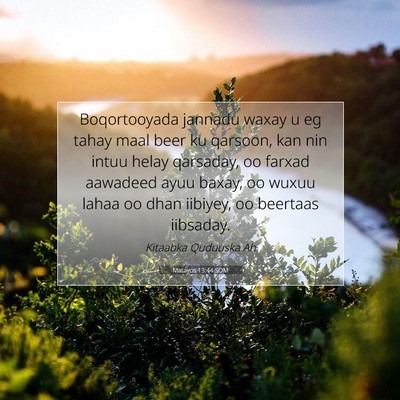 Picture 07 - Matayos 13:44 SOM - Boqortooyada jannadu waxay u eg tahay maal beer - Bible Verse Picture