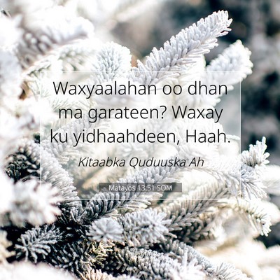 Picture 07 - Matayos 13:51 SOM - Waxyaalahan oo dhan ma garateen? Waxay ku - Bible Verse Picture