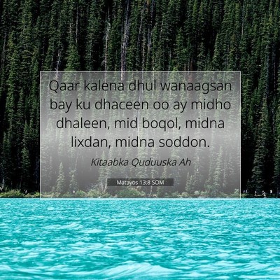 Picture 07 - Matayos 13:8 SOM - Qaar kalena dhul wanaagsan bay ku dhaceen oo ay - Bible Verse Picture