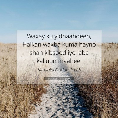 Picture 07 - Matayos 14:17 SOM - Waxay ku yidhaahdeen, Halkan waxba kuma hayno - Bible Verse Picture