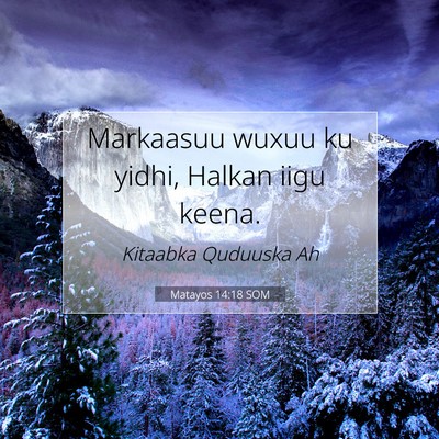 Picture 07 - Matayos 14:18 SOM - Markaasuu wuxuu ku yidhi, Halkan iigu - Bible Verse Picture