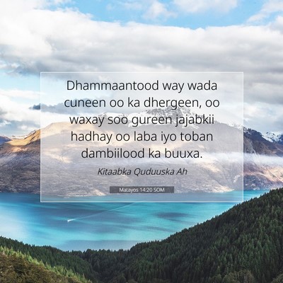 Picture 07 - Matayos 14:20 SOM - Dhammaantood way wada cuneen oo ka dhergeen, oo - Bible Verse Picture