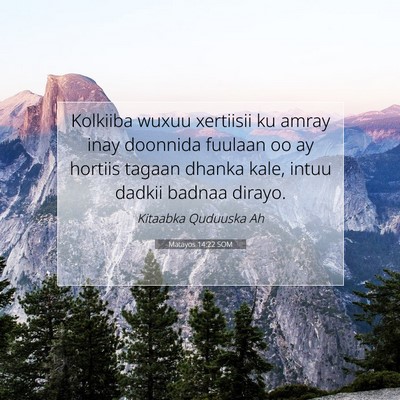 Picture 07 - Matayos 14:22 SOM - Kolkiiba wuxuu xertiisii ku amray inay doonnida - Bible Verse Picture