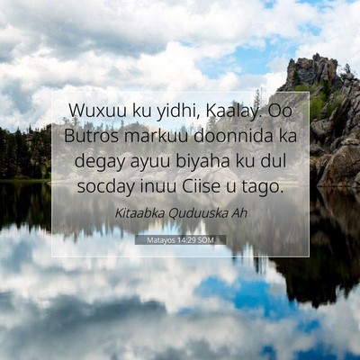 Picture 07 - Matayos 14:29 SOM - Wuxuu ku yidhi, Kaalay. Oo Butros markuu doonnida - Bible Verse Picture