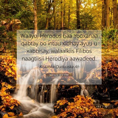 Picture 07 - Matayos 14:3 SOM - Waayo, Herodos baa Yooxanaa qabtay oo intuu - Bible Verse Picture