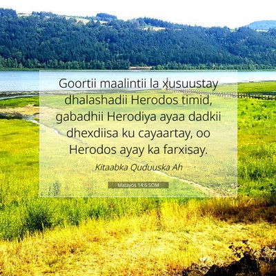 Picture 07 - Matayos 14:6 SOM - Goortii maalintii la xusuustay dhalashadii - Bible Verse Picture