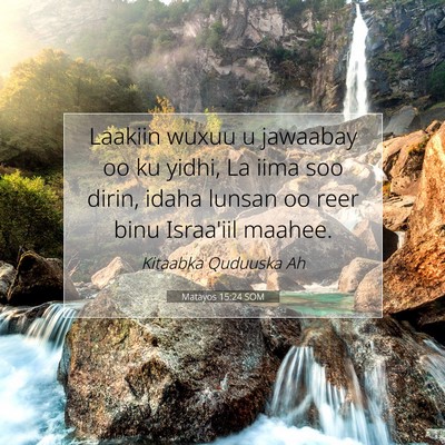 Picture 07 - Matayos 15:24 SOM - Laakiin wuxuu u jawaabay oo ku yidhi, La iima soo - Bible Verse Picture