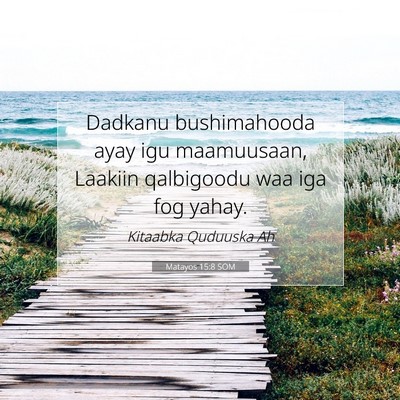 Picture 07 - Matayos 15:8 SOM - Dadkanu bushimahooda ayay igu maamuusaan, Laakiin - Bible Verse Picture