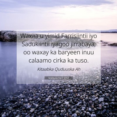 Picture 07 - Matayos 16:1 SOM - Waxaa u yimid Farrisiintii iyo Sadukiintii iyagoo - Bible Verse Picture