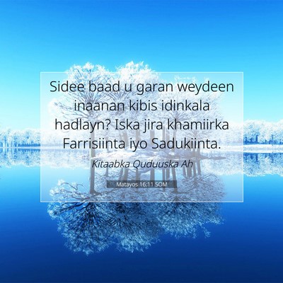 Picture 07 - Matayos 16:11 SOM - Sidee baad u garan weydeen inaanan kibis idinkala - Bible Verse Picture