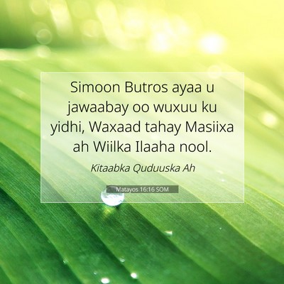 Picture 07 - Matayos 16:16 SOM - Simoon Butros ayaa u jawaabay oo wuxuu ku yidhi, - Bible Verse Picture