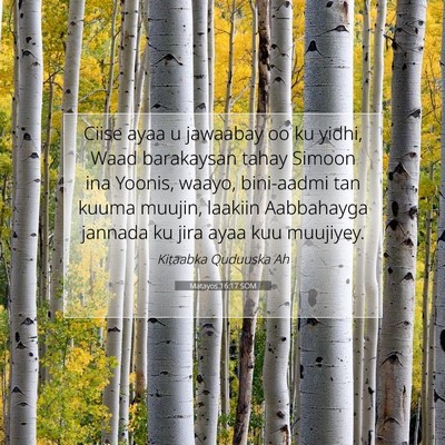 Picture 07 - Matayos 16:17 SOM - Ciise ayaa u jawaabay oo ku yidhi, Waad - Bible Verse Picture