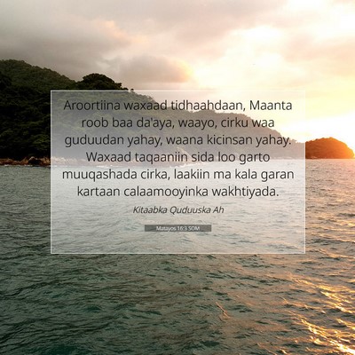 Picture 07 - Matayos 16:3 SOM - Aroortiina waxaad tidhaahdaan, Maanta roob baa - Bible Verse Picture