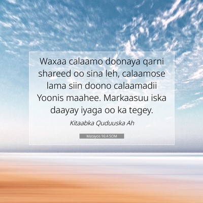Picture 07 - Matayos 16:4 SOM - Waxaa calaamo doonaya qarni shareed oo sina leh, - Bible Verse Picture