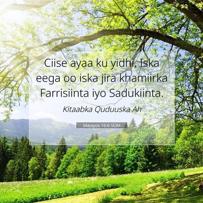 Picture 07 - Matayos 16:6 SOM - Ciise ayaa ku yidhi, Iska eega oo iska jira - Bible Verse Picture