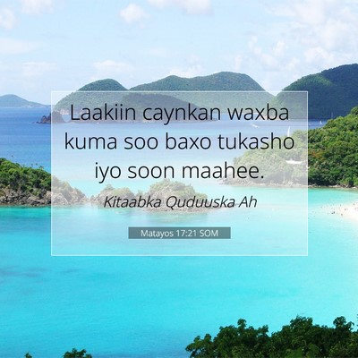 Picture 07 - Matayos 17:21 SOM - Laakiin caynkan waxba kuma soo baxo tukasho iyo - Bible Verse Picture