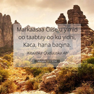 Picture 07 - Matayos 17:7 SOM - Markaasaa Ciise u yimid oo taabtay oo ku yidhi, - Bible Verse Picture