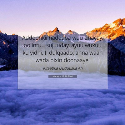 Picture 07 - Matayos 18:26 SOM - Addoonkii haddaba wuu dhacay, oo intuu sujuuday, - Bible Verse Picture