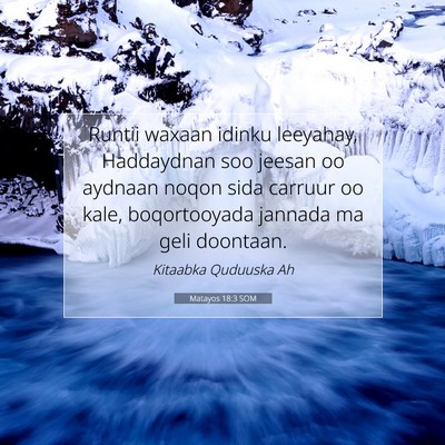 Picture 07 - Matayos 18:3 SOM - Runtii waxaan idinku leeyahay, Haddaydnan soo - Bible Verse Picture