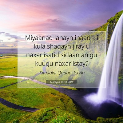 Picture 07 - Matayos 18:33 SOM - Miyaanad lahayn inaad kii kula shaqayn jiray u - Bible Verse Picture