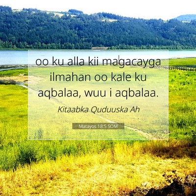 Picture 07 - Matayos 18:5 SOM - oo ku alla kii magacayga ilmahan oo kale ku - Bible Verse Picture