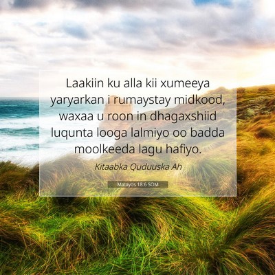 Picture 07 - Matayos 18:6 SOM - Laakiin ku alla kii xumeeya yaryarkan i rumaystay - Bible Verse Picture