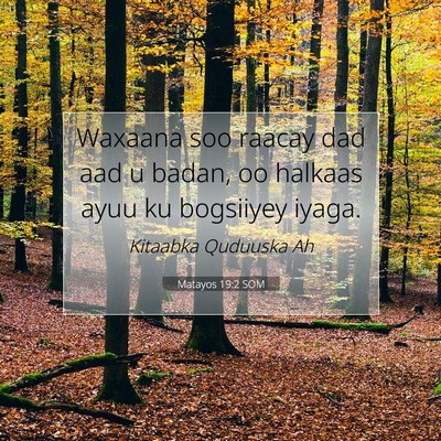 Picture 07 - Matayos 19:2 SOM - Waxaana soo raacay dad aad u badan, oo halkaas - Bible Verse Picture