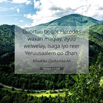 Picture 07 - Matayos 2:3 SOM - Goortuu boqor Herodos waxan maqlay, ayuu - Bible Verse Picture