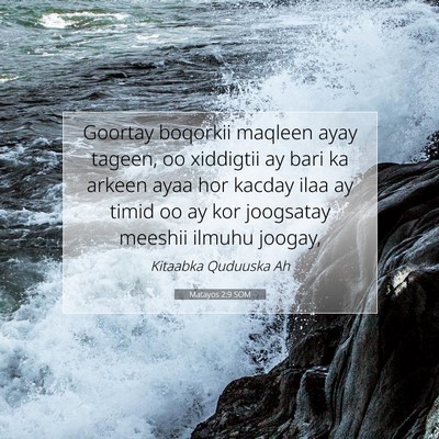 Picture 07 - Matayos 2:9 SOM - Goortay boqorkii maqleen ayay tageen, oo - Bible Verse Picture