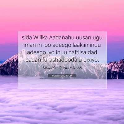 Picture 07 - Matayos 20:28 SOM - sida Wiilka Aadanahu uusan ugu iman in loo adeego - Bible Verse Picture