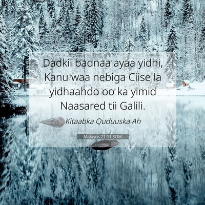 Picture 07 - Matayos 21:11 SOM - Dadkii badnaa ayaa yidhi, Kanu waa nebiga Ciise - Bible Verse Picture