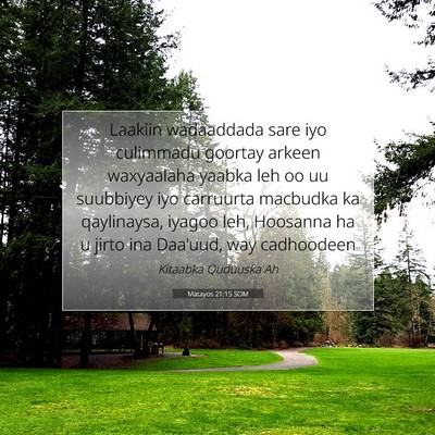 Picture 07 - Matayos 21:15 SOM - Laakiin wadaaddada sare iyo culimmadu goortay - Bible Verse Picture