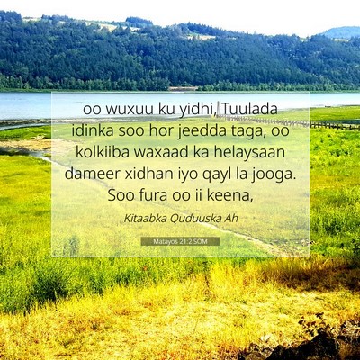 Picture 07 - Matayos 21:2 SOM - oo wuxuu ku yidhi, Tuulada idinka soo hor jeedda - Bible Verse Picture