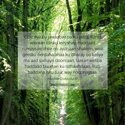 Picture 07 - Matayos 21:21 SOM - Ciise ayaa u jawaabay oo ku yidhi, Runtii waxaan - Bible Verse Picture