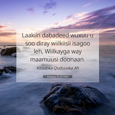 Picture 07 - Matayos 21:37 SOM - Laakiin dabadeed wuxuu u soo diray wiilkiisii - Bible Verse Picture