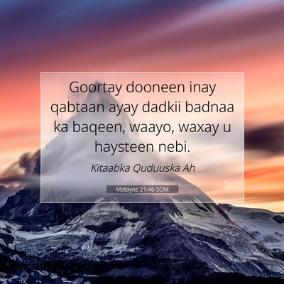 Picture 07 - Matayos 21:46 SOM - Goortay dooneen inay qabtaan ayay dadkii badnaa - Bible Verse Picture