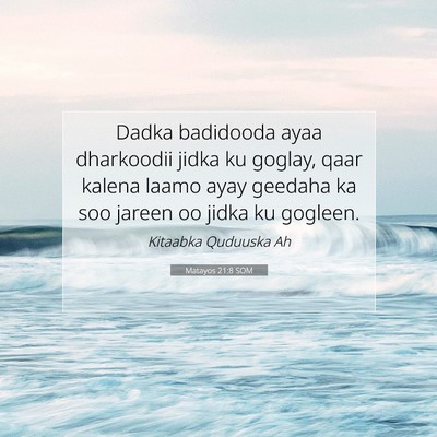 Picture 07 - Matayos 21:8 SOM - Dadka badidooda ayaa dharkoodii jidka ku goglay, - Bible Verse Picture