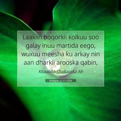Picture 07 - Matayos 22:11 SOM - Laakiin boqorkii kolkuu soo galay inuu martida - Bible Verse Picture