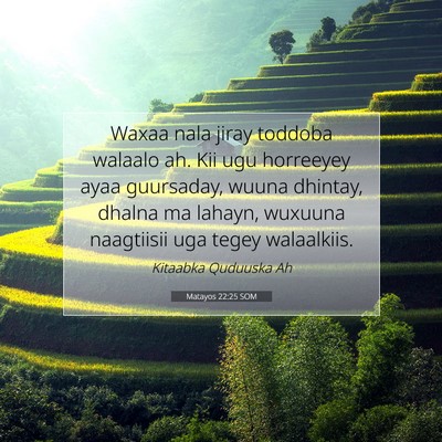 Picture 07 - Matayos 22:25 SOM - Waxaa nala jiray toddoba walaalo ah. Kii ugu - Bible Verse Picture