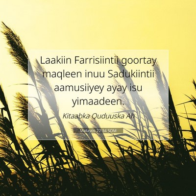Picture 07 - Matayos 22:34 SOM - Laakiin Farrisiintii goortay maqleen inuu - Bible Verse Picture