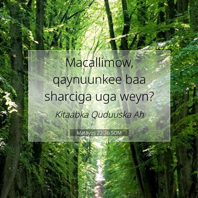 Picture 07 - Matayos 22:36 SOM - Macallimow, qaynuunkee baa sharciga uga - Bible Verse Picture