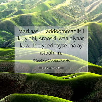Picture 07 - Matayos 22:8 SOM - Markaasuu addoommadiisii ku yidhi, Arooskii waa - Bible Verse Picture