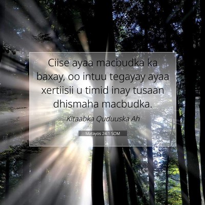 Picture 07 - Matayos 24:1 SOM - Ciise ayaa macbudka ka baxay, oo intuu tegayay - Bible Verse Picture